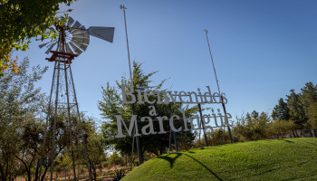 img9405
